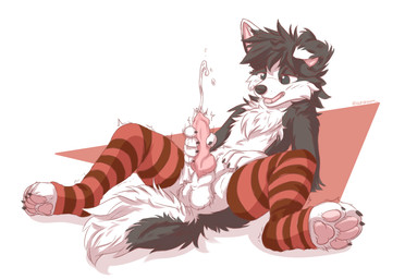 animal_genitalia animal_penis anthro balls blush bodily_fluids canine_genitalia canine_penis clothing cum genital_fluids genitals knot knotted_penis leg_warmers leg_warmers_only legwear male masturbation orgasm paws penis sheath solo stockings tail acronium canid canine canis collie domestic_dog herding_dog mammal pastoral_dog sheepdog hi_res