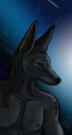 2013 anubian_jackal anubis bodypaint bust canine cryme_the_cheetah deity hair jackal long_hair male nipples piercing realistic shaded solo space stars
Rating: Safe
Score: 5
User: KhraymTheCheetah
Date: July 18, 2013