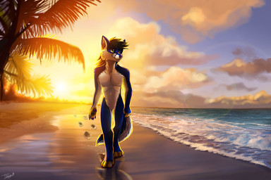 anthro beach countershading male plant seaside sky solo sunset tree walking tatujapa canid canine fox mammal hi_res