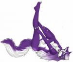 anthro belly biped blue_eyes breasts collar female fluffy fluffy_tail fur hair legs_up long_hair looking_at_viewer lying markings nipples nude on_back pose purple_body purple_fur simple_background solo tail white_background white_body white_fur eura canid canine mammal pinup