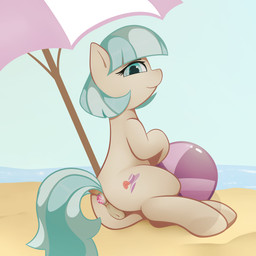 anal anal_penetration anus ball beach beach_ball beach_umbrella blue_eyes butt buttplug buttplug_in_ass buttplug_insertion cutie_mark detailed_background female feral gem genitals hair inflatable jewel_buttplug looking_at_viewer looking_back multicolored_hair object_in_ass outside parasol penetration plug_(sex_toy) plug_insertion sand seaside sex_toy sex_toy_in_ass sex_toy_insertion solo two_tone_hair vulva water neighday friendship_is_magic hasbro my_little_pony coco_pommel_(mlp) earth_pony equid equine horse mammal pony 1:1 2017 absurd_res hi_res