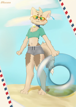 anthro barefoot bell bell_collar bottomwear clothing collar crop_top eyewear feet femboy fluffy fluffy_tail glasses male shirt shorts sky solo summer sunglasses tail topwear kecuxa felid feline mammal absurd_res hi_res