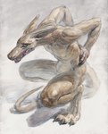 abs anthro biped claws crouching feet finger_claws hands_on_hips hindpaw looking_forward male muscular muscular_anthro muscular_male open_mouth paws pecs solo tail toe_claws atlchirico canid canine canis jackal mammal graphite_(artwork) hi_res painting_(artwork) traditional_media_(artwork) traditional_painting_(artwork) traditional_watercolor_(artwork) watercolor_(artwork)