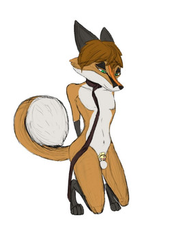 anthro belly brown_hair chastity_cage chastity_device collar curled_tail facial_markings feet flat_chastity_cage fur genitals gold_(metal) gold_chastity_cage gold_chastity_device green_eyes grey_feet grey_hands hair hands_behind_back head_markings head_tilt kneeling leash looking_down male markings metal_chastity_cage narrowed_eyes orange_body orange_fur penis pivoted_ears smile snout snout_markings solo submissive submissive_male tail white_belly thegreytest canid canine fox mammal red_fox true_fox