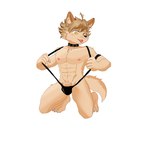 adolescent anthro blonde_hair brown_body brown_fur clothing collar flaccid fur genitals hair male muscular muscular_anthro muscular_male nipples penis penis_base solo thong underwear young mengj123 cyberconnect2 fuga:_melodies_of_steel little_tail_bronx malt_marzipan canid canine caninu canis domestic_dog mammal 1:1 absurd_res hi_res