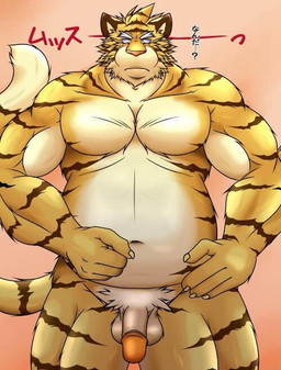 anthro balls flaccid genitals humanoid_genitalia humanoid_hands humanoid_penis kemono male musclegut muscular overweight overweight_male penis simple_background solo text seturou1010 felid mammal pantherine tiger 2015 japanese_text