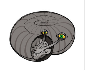 ambiguous_gender eyestalks feral green_eyes grey_body head_tuft looking_at_viewer shell simple_background solo spiral_shell tuft white_background yellow_sclera kaboozey snandy_(kaboozey) domestic_cat felid feline felis gastropod hybrid mammal mollusk snail 2024 digital_drawing_(artwork) digital_media_(artwork) english_description