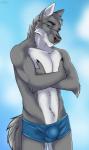 5_fingers anthro athletic athletic_anthro athletic_male black_nose blue_background blue_eyes blurred_background bulge clothed clothing crossed_arms eyebrows fingers fur grey_body grey_fur grey_hair hair looking_at_viewer male multicolored_body multicolored_fur simple_background solo standing topless two_tone_body two_tone_fur underwear white_body white_fur cinta matthewwoodward canid canine canis mammal wolf 2018 hi_res