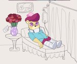 anthro bed clothing detailed_background flower furniture hat headgear headwear humanoid_hands inside lying plant purple_eyes shirt solo topwear sketchyvillain unicorn_wars cabo_pompon_(unicorn_wars) bear mammal 2023