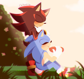 anthro black_body black_fur blue_body blue_fur clothing duo eyes_closed food footwear fur gloves grass handwear holding_food holding_object hot_dog male outside plant red_body red_fur shoes sitting smile standing spacecolonie sega sonic_the_hedgehog_(series) shadow_the_hedgehog sonic_the_hedgehog eulipotyphlan hedgehog mammal 2015