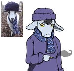 anthro cigarette cigarette_holder clothing female hair hat headgear headwear horizontal_pupils pupils purple_clothing real scarf smile smoke smoking solo winter_clothing winter_coat alekoin bovid caprine goat mammal redraw