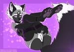 anthro anus areola black_body bottomwear bra clothing female genitals grey_body latex lying multicolored_body nipples presenting presenting_pussy purple_eyes pussy shorts smile solo underwear conditional_dnp taurika canid canine fox mammal