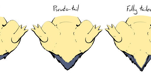 3_toes ambiguous_form ambiguous_gender featureless_crotch feet fur nude pseudo_tail simple_background solo spread_legs spreading tail text toes white_background yellow_body yellow_fur fizzpop nintendo pokemon generation_2_pokemon pokemon_(species) typhlosion english_text hi_res
