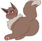 anus balls brown_body brown_fur butt feral fur genitals male paws solo freckledcoat nintendo pokemon eevee generation_1_pokemon pokemon_(species) 2022 hi_res