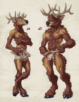 abs animal_genitalia animal_penis anthro antlers armpit_hair balls body_hair bottomwear bulge clothed clothing duo genitals half-erect hooves horn leg_tuft male muscular muscular_male neck_tuft partially_clothed pecs penis shaggy_hair sheath simple_background thigh_tuft topless translucent translucent_clothing tuft momamo cervine deer elk mammal 2026 absurd_res hi_res