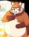 anthro belly blush food humanoid_hands male moobs navel nipples overweight overweight_anthro overweight_male popsicle solo kemonosato tamacolle awa_(tamacolle) canid canine mammal raccoon_dog tanuki 2019