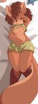 anthro blush brown_body brown_fur buckteeth clothed clothing female fur lying nipples pajamas raised_clothing raised_shirt raised_topwear shirt solo tail teeth topwear rokitsune surisu_(tohupo) mammal rodent sciurid tree_squirrel absurd_res hi_res