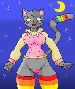 anthro breasts clothing female food fur grey_body grey_fur hoodie legwear moon night panties rainbow solo star stockings topwear underwear cool_cola nyan_cat_(copyright) pop-tarts nyan_cat domestic_cat felid feline felis mammal meme