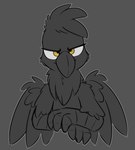 ambiguous_gender beak feathered_wings feathers feral fingers grey_background half-closed_eyes looking_at_viewer narrowed_eyes simple_background solo wings yellow_eyes moemneop hasbro my_little_pony mythology skraww_(moemneop) avian gryphon mythological_avian mythological_creature 2018 digital_media_(artwork) greyscale hi_res monochrome