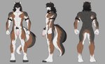 2023 absurd_res anthro balls canid canine countershading flaccid fox genitals hair hair_over_eyes hi_res humanoid_genitalia humanoid_penis island_fox kyle_driver male mammal model_sheet muscular muscular_anthro muscular_male nude penis pubes roastedchicken solo urocyon