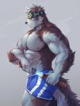 abs accessory anthro brown_scabbard clothing drawing_sword drawing_weapon fur headband male melee_weapon multicolored_body multicolored_fur muscular muscular_anthro muscular_male nipples pecs solo swimwear sword tanto weapon white_body white_fur kuron lifewonders tokyo_afterschool_summoners horkeu_kamui_(tas) canid canine canis mammal wolf 2019