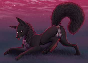animal_genitalia animal_penis anus ass_up balls blep canine_genitalia canine_penis erection feral fluffy fluffy_tail genitals knot knotted_penis looking_at_viewer male pawpads penis raised_tail side_view smile solo tail tongue tongue_out blackbatwolf canid canine mammal hi_res