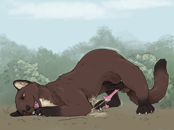 anatomically_correct anatomically_correct_genitalia balls bodily_fluids cum cumshot ejaculation feral genital_fluids genitals male masturbation open_mouth paws penis shuddering solo sketchy_shelby gulonine mammal marten mustelid musteline pine_marten 4:3 absurd_res hi_res