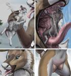 anthro big_dom_small_sub bodily_fluids body_in_mouth breasts brown_body brown_fur carrying_another chest_tuft close-up digitigrade dominant dominant_female duo extreme_size_difference female female_pred frozen fur gaping_mouth grey_body grey_fur holding_character horn ice imminent_vore larger_female male male/female male_prey micro micro_in_hand multicolored_body multicolored_fur nipples nude open_mouth oral_vore outside plant role_reversal saliva saliva_string size_difference smaller_male snow soft_vore struggling submissive submissive_male teats tongue tongue_out tree tuft two_tone_body two_tone_fur vore white_body white_fur winter apoptosis canid canine canis deer mammal new_world_deer reindeer wolf sasha_(disambiguation) hi_res