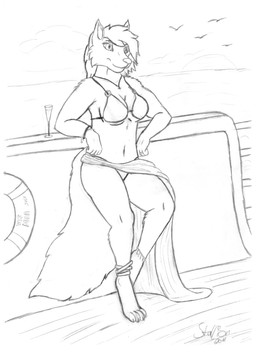anthro bikini bottomwear clothed clothing dutch_angle female jewelry looking_at_viewer sea ship skimpy skirt solo sunset swimwear tail tight_clothing two-piece_swimsuit vehicle water watercraft bigbangchiller mia_ishata avian bird canid canine canis gull lari larid mammal wolf 2011 black_and_white full-length_portrait graphite_(artwork) hi_res monochrome portrait traditional_media_(artwork)