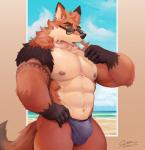 abs anthro black_nose clothed clothing eyewear fur male muscular muscular_anthro muscular_male nipples pecs solo sunglasses tongue topless hanukami canid canine fox mammal 2018 hi_res