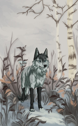ambiguous_gender black_hair black_tail blue_eyes dipstick_tail feral fur hair leg_markings looking_at_viewer markings mouth_closed outside plant snow socks_(marking) solo tail tail_markings text tree white_body white_fur white_tail msdeadsoul gryphen_(yulkine) canid canine mammal 2021 artist_name dated hi_res