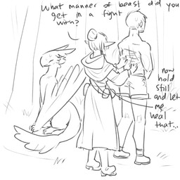 back_wounds bodily_fluids clothed clothed_female clothed_humanoid clothing dialogue feathers female female_humanoid feral fully_clothed fully_clothed_female fully_clothed_humanoid group healing_magic male male_human sitting sweat sweatdrop topless topless_human topless_male trio wounded tateoftot european_mythology mythology saphiel_(tateoftot) avian bird dragon elf feathered_dragon feathered_scalie feathered_wyvern human humanoid mammal mythological_creature mythological_scalie scalie western_dragon wyvern 1:1 hi_res line_art monochrome sketch