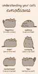 :3 ambiguous_gender angry bouncing fur grey_body grey_fur happy loaf sad simple_background solo text whiskers pusheen_corp third-party_edit pusheen_and_friends pusheen domestic_cat felid feline felis mammal animated english_text short_playtime female_(lore)