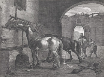 balls bodily_fluids broom building cleaning_tool clothed clothed_human clothed_male clothing eating eating_hay feral feral_peeing fur genital_fluids genitals group half-erect hay hooves male male_feral male_human nude_male peeing peeing_on_ground penis pitchfork stable stables_boy standing tail tools urine urine_on_ground urine_stream pieter_de_laer public_domain equid equine horse human mammal 1650 17th_century ancient_art hi_res monochrome traditional_media_(artwork)