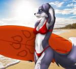 anthro beach bikini blue_eyes breasts clothing cloud detailed_background female grin outside sand sea seaside sky smile solo spots sun surf surfboard surfing swimwear two-piece_swimsuit vehicle water watercraft rydenan border_collie canid canine canis collie domestic_dog herding_dog mammal pastoral_dog sheepdog 2018