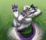 4_toes anthro anus armpits arms_above_head arms_behind_head balls barefoot black_hair canine claws digitigrade dog erection field flower fluffy_tail foot_focus fur grass green_eyes hair happy hindpaw husky knot legs_up looking_at_viewer lying male mammal multicolor_fur nude on_back on_ground pawpads paws penis pinup playful pose purple_fur purple_pawpads purple_penis relaxing sheath smile soles solo theowlette toes two_tone_fur white_fut
Rating: Explicit
Score: 22
User: Peekaboo
Date: January 25, 2014