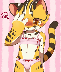 4_fingers anthro big_eyes big_head black_body black_fur blush brown_body brown_fur bulge claws clothed clothing collarbone countershading crossdressing embarrassed femboy fingers front_view fur hand_on_face kemono male midriff multicolored_body multicolored_fur navel open_mouth orange_body orange_eyes orange_fur pattern_background pink_clothing pink_nose pink_underwear raised_tail shota simple_background skimpy solo striped_background striped_body striped_fur stripes tail toony underwear white_body white_fur young young_anthro unrealplace raier_(unrealplace) felid feline leopard_cat mammal prionailurus cel_shading shaded