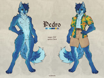 4_toes 5_fingers abs aloha_shirt animal_genitalia anthro areola balls biped black_claws black_sclera blue_body blue_fur blue_hair bottomwear canine_genitalia claws clothed clothed/nude clothed_anthro clothed_male clothing digitigrade feet finger_claws fingers fluffy fluffy_arms fluffy_ears fluffy_tail fully_sheathed fur genitals hair hindpaw male male_anthro markings muscular muscular_male navel nipples nude nude_anthro nude_male pattern_clothing pattern_shirt pattern_topwear paws pecs pose sheath shirt shorts solo spots spotted_body spotted_fur standing tail tan_bottomwear tan_clothing tan_shorts tasteful_nudity text three-quarter_view toe_claws toes topwear tuft white_body white_fur yellow_eyes tashiroth aquatic canid canine hybrid leopard_seal mammal pinniped seal 4:3 character_name digital_drawing_(artwork) digital_media_(artwork) english_text full-length_portrait hi_res model_sheet portrait shaded simple_shading
