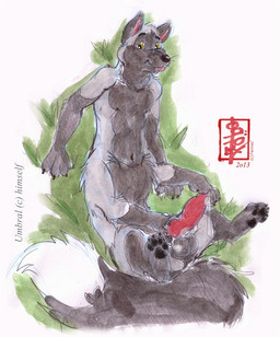 animal_genitalia animal_penis balls black_body black_fur bodily_fluids canine_genitalia canine_penis erection fur genital_fluids genitals grey_body grey_fur knot knotted_penis lying male penis precum sheath solo standing text fennec_(artist) umbralfox canid canid_taur canine canine_taur fox fox_taur mammal mammal_taur red_fox silver_fox taur true_fox english_text painting_(artwork) sketch watercolor_(artwork)