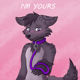 anthro bdsm blush blush_lines collar femboy leash leashed_collar leashed_male male petplay roleplay shy solo submissive submissive_anthro submissive_male lattelamb canid canine fox mammal 1:1 hi_res