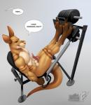 anatomically_correct animal_genitalia animal_penis anthro balls balls_above_penis bodily_fluids claws dialogue erection fur genital_fluids genitals gym leg_press looking_at_viewer male marsupial_penis muscular muscular_anthro muscular_male nude paws pecs penis precum prehensile_penis smile solo tail tapering_penis text vallhound knox_(kangaroo) kangaroo macropod mammal marsupial 2019 digital_media_(artwork) english_text