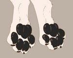 4_toes ambiguous_gender black_pawpads claws curling_toes faceless_character feet foot_focus foot_shot fur male pawpads paws solo spread_toes toe_claws toes white_body white_fur mituni_(artist) sabbyth canid canine canis mammal wolf animated frame_by_frame hi_res short_playtime