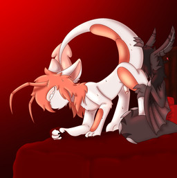 antennae_(anatomy) anthro arm_tuft ass_up bed bedding black_nails blanket bodily_fluids claws colored_nails duo elbow_tuft fluffy fluffy_chest fluffy_ears fluffy_tail fur furniture genitals grabbing_sheets grey_body grey_fur hair hair_over_eyes leg_grab long_ears male male/male nails nude oral penis piercing shell shrimp_tail sweat tail tail_around_leg tail_around_partner tail_grab tuft white_body white_fur wings sprigebi mythology eclipse_(eepi_ebi) shrimpleton aquatic arthropod crustacean dragon furred_dragon furred_scalie mythological_creature mythological_scalie scalie shrimp hi_res