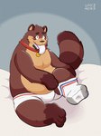 anthro belly blush brown_body clothing collar footwear kemono male overweight overweight_male sitting socks solo underwear lifomon canid canine mammal raccoon_dog tanuki 2025 hi_res