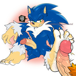 ankle_fluff anthro balls big_balls big_feet big_penis blue_body blush bodily_fluids claws duo ear_piercing erection feet foot_fetish foot_play footjob frustrated fur genitals glans green_eyes humanoid_genitalia humanoid_penis inner_ear_fluff male male/male penile penis piercing pubes sex soles sweat sweatdrop tail teeth toe_claws toes tuft vein veiny_penis white_body white_fur wrist_fluff iamnotmetal sega sonic_the_hedgehog_(series) sonic_unleashed sonic_the_hedgehog sonic_the_werehog eulipotyphlan hedgehog mammal werecreature wereeulipotyphlan werehog 1:1 absurd_res digital_drawing_(artwork) digital_media_(artwork) hi_res