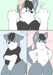 after_transformation anthro blue_eyes blush bottomless clothed clothing confident directional_arrow ear_growth embarrassed exclamation_point featureless_crotch fur fur_growth grey_body grey_fur growth male mid_transformation partially_clothed paws shaking shirt shy simple_background solo topwear transformation white_body white_fur yakinikuinu canid canine canis domestic_dog human mammal hi_res
