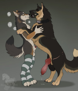 animal_genitalia animal_penis anthro anthro_on_feral balls bestiality black_balls black_body black_sclera bodily_fluids canine_genitalia canine_penis clenched_teeth closed_smile clothing collar dialogue dripping duo ear_piercing erection fangs feral genital_fluids genital_piercing genitals grey_body hug knot knotted_penis ladder_piercing larger_feral larger_male legwear looking_down male male/male male_anthro male_feral male_on_feral mouth_closed on_hind_legs penis penis_piercing penis_tip piercing precum precum_drip prince_albert_piercing red_penis saggy_balls scar sheath side_view simple_background size_difference smaller_anthro smaller_male smile standing stockings teeth text fenn.perrox beau_(williamca) canid canine canis coyote domestic_dog german_shepherd herding_dog mammal pastoral_dog english_text hi_res