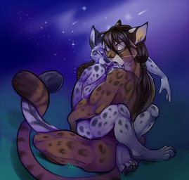 ambiguous_gender anthro anthro_on_anthro detailed_background duo eyes_closed feet grass hair hindpaw hug leg_wrap long_hair male nude outside paws plant romantic romantic_ambiance romantic_couple sitting sky star starry_sky straddling tail demicoeur domestic_cat felid feline felis lynx mammal digital_media_(artwork)