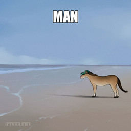 baseball_cap beach brown_hair clothing cloud cloudy_sky coastline fur green_clothing green_hat green_headwear hair hat headgear headwear male sky solo spiked_hat tan_body tan_fur text band1tnsfw band1t_(band1tnsfw) equid equine horse mammal 1:1 english_text hi_res impact_(font) meme