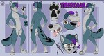 accessory anthro brown_eyes emblem eyewear facial_markings feather_hair feathers glasses hair head_markings male markings pseudo_hair purple_hair smile solo whiteklaw tristan_the_wolf canid canine canis mammal wolf hi_res model_sheet